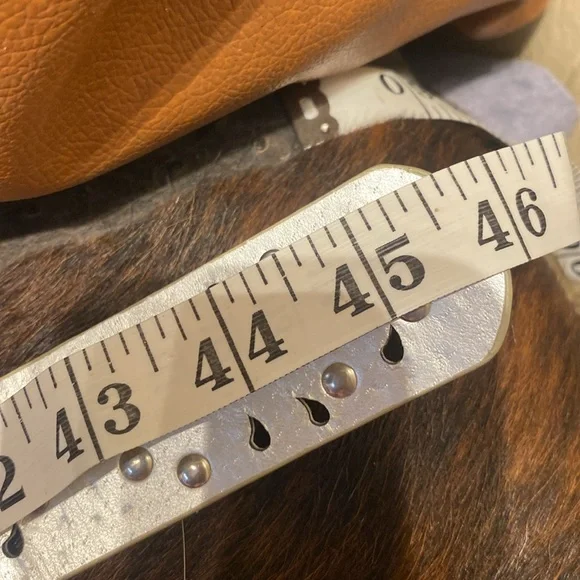 Free BKE Glitz Rhinestones Western Belt size from M to XL - Picture 11 of 13